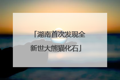 湖南首次发现全新世大熊猫化石