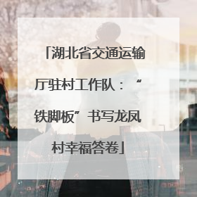 湖北省交通运输厅驻村工作队：“铁脚板”书写龙凤村幸福答卷