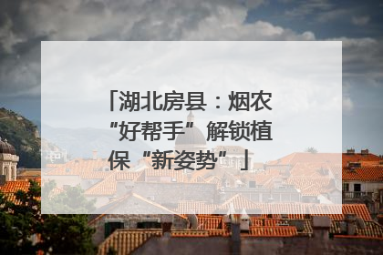 湖北房县：烟农“好帮手”解锁植保“新姿势”