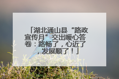 湖北通山县“路政宣传月”交出暖心答卷：路畅了，心近了，发展顺了！