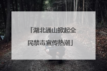 湖北通山掀起全民禁毒宣传热潮