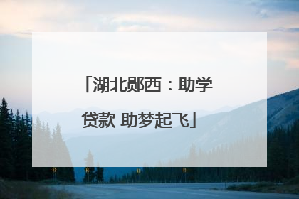 湖北郧西：助学贷款 助梦起飞
