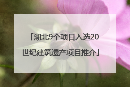 湖北9个项目入选20世纪建筑遗产项目推介
