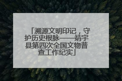 溯源文明印记，守护历史根脉——靖宇县第四次全国文物普查工作纪实