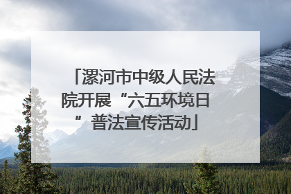 漯河市中级人民法院开展“六五环境日”普法宣传活动