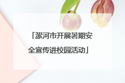 漯河市开展暑期安全宣传进校园活动