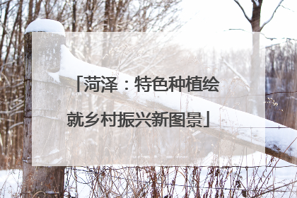 菏泽：特色种植绘就乡村振兴新图景