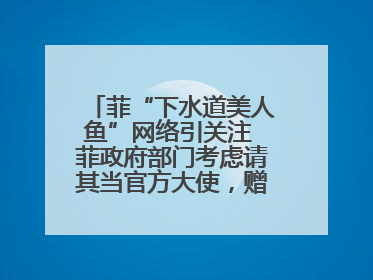 菲“下水道美人鱼”网络引关注 菲政府部门考虑请其当官方大使，赠现金开店