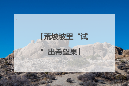 荒坡坡里“试”出希望果