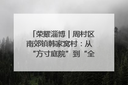 荣耀淄博｜周村区南郊镇韩家窝村：从“方寸庭院”到“全域文明”，乡村振兴的“美学革命”