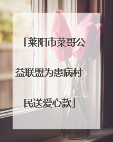 莱阳市菜哥公益联盟为患病村民送爱心款
