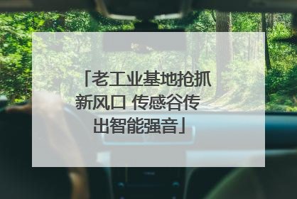 老工业基地抢抓新风口 传感谷传出智能强音