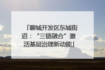聊城开发区东城街道：“三链融合”激活基层治理新动能