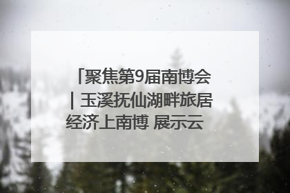 聚焦第9届南博会｜玉溪抚仙湖畔旅居经济上南博 展示云南生活新样本