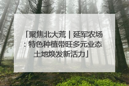聚焦北大荒｜延军农场：特色种植带旺多元业态 土地焕发新活力
