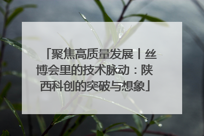 聚焦高质量发展丨丝博会里的技术脉动：陕西科创的突破与想象