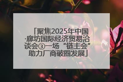 聚焦2025年中国·廊坊国际经济贸易洽谈会③一场“链主会” 助力厂商破圈发展