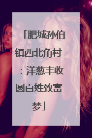 肥城孙伯镇西北角村：洋葱丰收圆百姓致富梦