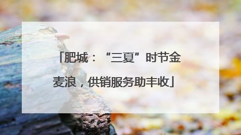 肥城：“三夏”时节金麦浪，供销服务助丰收