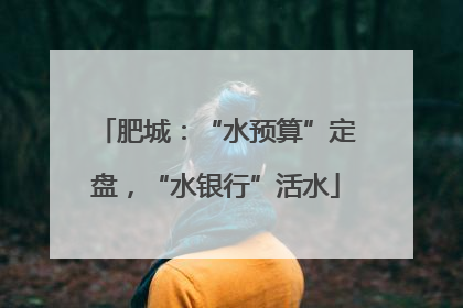 肥城：“水预算”定盘，“水银行”活水