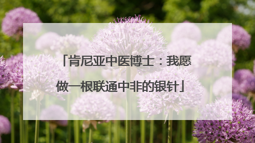 肯尼亚中医博士：我愿做一根联通中非的银针