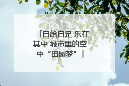 自给自足 乐在其中 城市里的空中“田园梦”