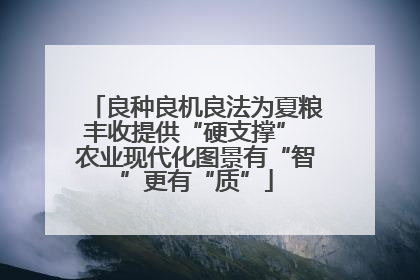 良种良机良法为夏粮丰收提供“硬支撑” 农业现代化图景有“智”更有“质”