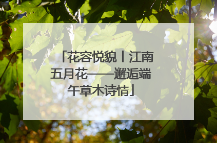 花容悦貌丨江南五月花——邂逅端午草木诗情