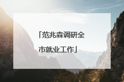 范兆森调研全市就业工作