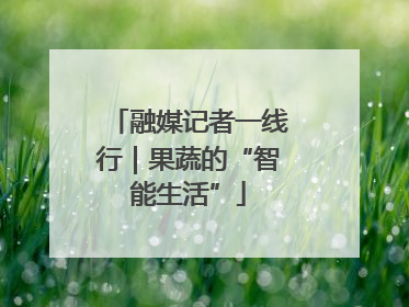 融媒记者一线行｜果蔬的“智能生活”
