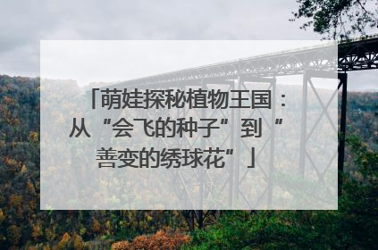 萌娃探秘植物王国：从“会飞的种子”到“善变的绣球花”