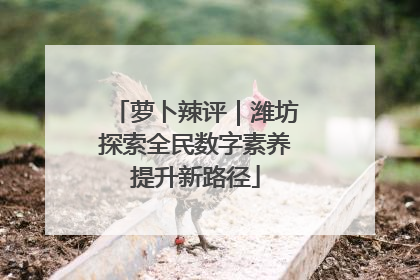 萝卜辣评｜潍坊探索全民数字素养提升新路径
