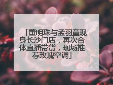 董明珠与孟羽童现身长沙门店，再次合体直播带货，现场推荐玫瑰空调
