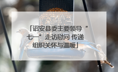 诏安县委主要领导“七一”走访慰问 传递组织关怀与温暖