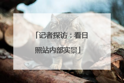 记者探访：看日照站内部实景