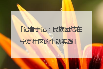 记者手记：民族团结在宁夏社区的生动实践