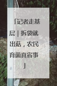 记者走基层｜拆袋就出菇，农民育菌真省事