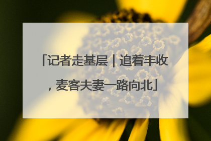 记者走基层｜追着丰收，麦客夫妻一路向北