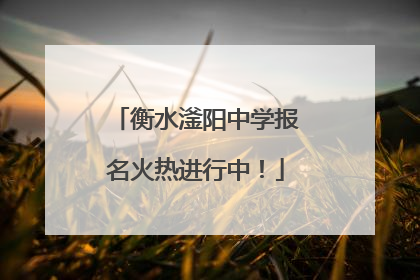衡水滏阳中学报名火热进行中！
