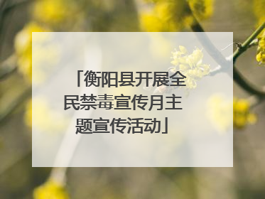 衡阳县开展全民禁毒宣传月主题宣传活动