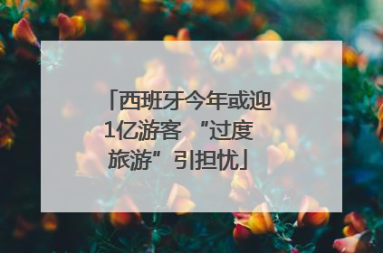 西班牙今年或迎1亿游客 “过度旅游”引担忧