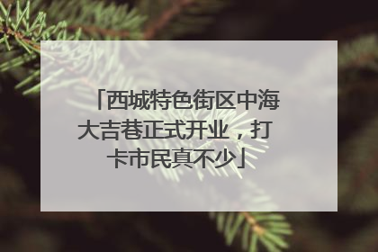 西城特色街区中海大吉巷正式开业，打卡市民真不少