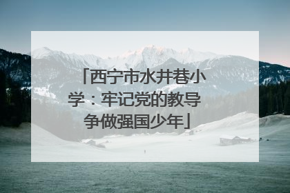 西宁市水井巷小学：牢记党的教导 争做强国少年