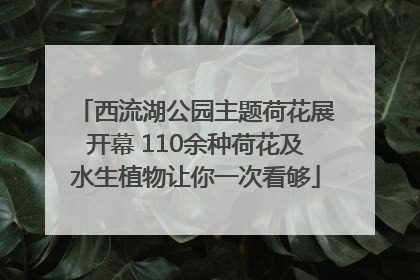 西流湖公园主题荷花展开幕 110余种荷花及水生植物让你一次看够
