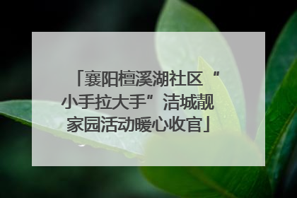襄阳檀溪湖社区“小手拉大手”洁城靓家园活动暖心收官