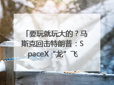要玩就玩大的？马斯克回击特朗普：SpaceX“龙”飞船将立即退役！