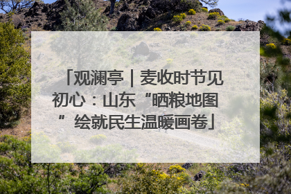 观澜亭｜麦收时节见初心：山东“晒粮地图”绘就民生温暖画卷