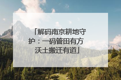 解码南京耕地守护：一码管田有方 沃土搬迁有道