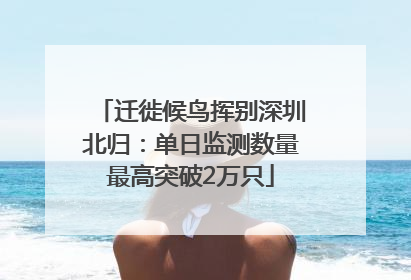 迁徙候鸟挥别深圳北归：单日监测数量最高突破2万只