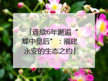 连续6年邂逅“蝶中皇后”：福建永安的生态之约